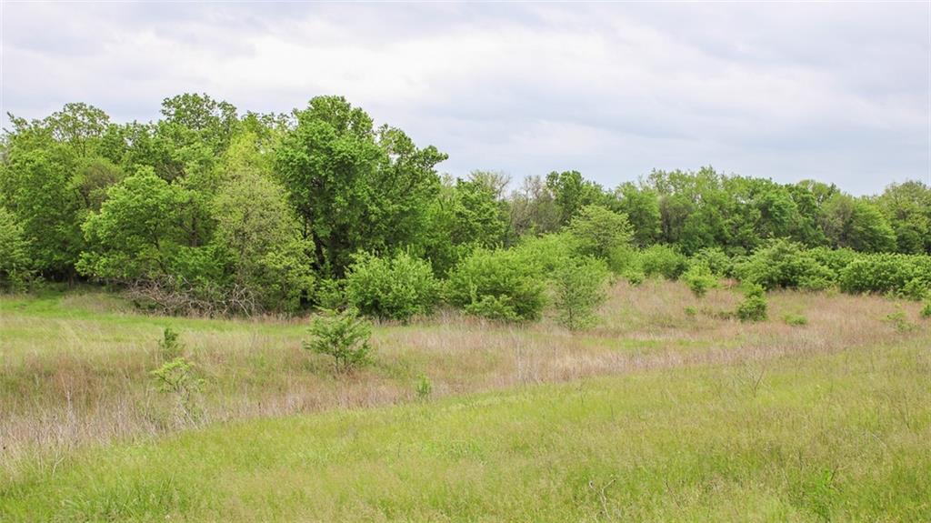 East Victory Road Bronaugh, MO 64728 - Photo 29 of 49