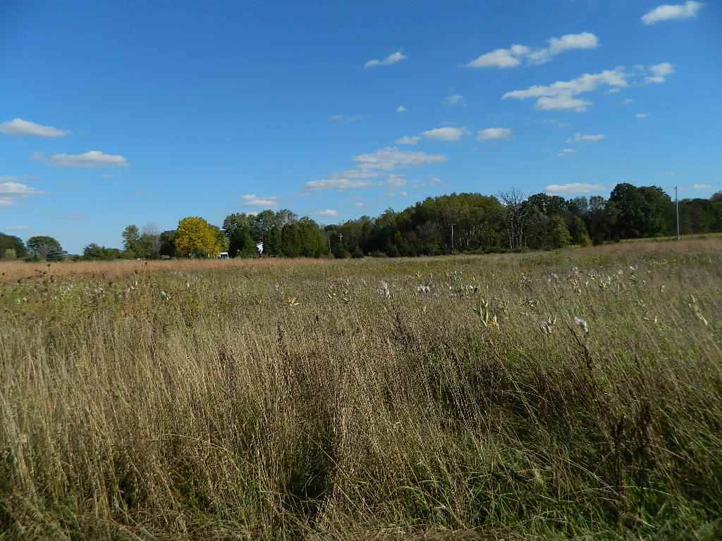 11650 West Remick Road Blanchard, MI 49310 - Photo 28 of 39 1839299-28.JPG