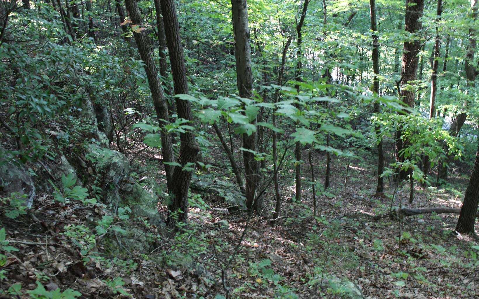 Tbd` Alt Old Fain Road Murphy, NC 28906 - Photo 11 of 16 Additional View