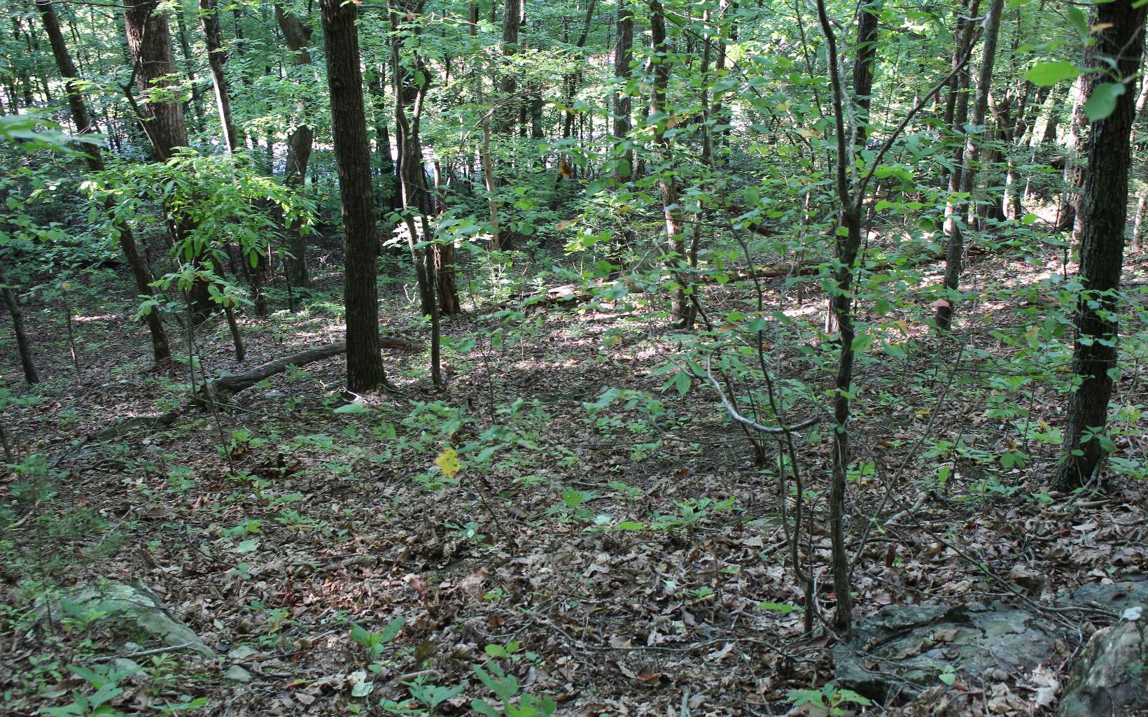 Tbd` Alt Old Fain Road Murphy, NC 28906 - Photo 12 of 16 Additional View