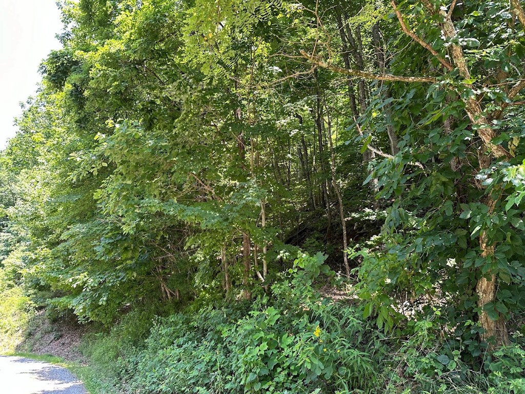 Tbd` Alt Old Fain Road Murphy, NC 28906 - Photo 16 of 16 Gallery Image 16