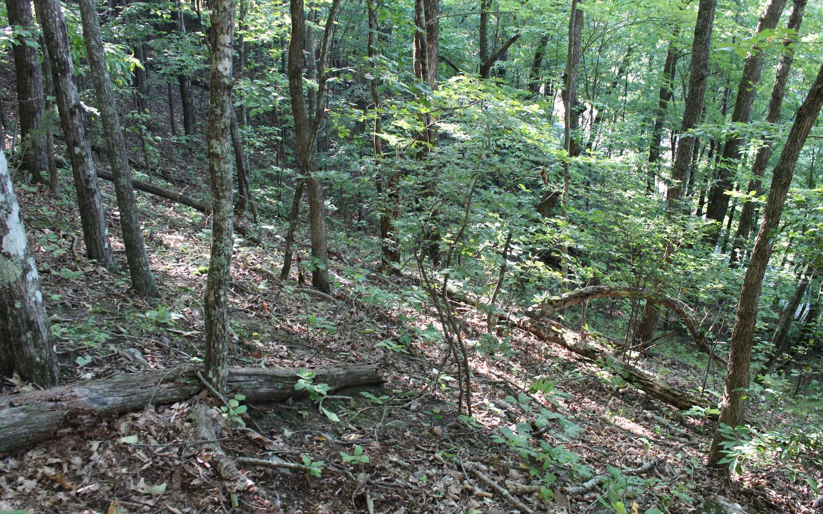 Additional View