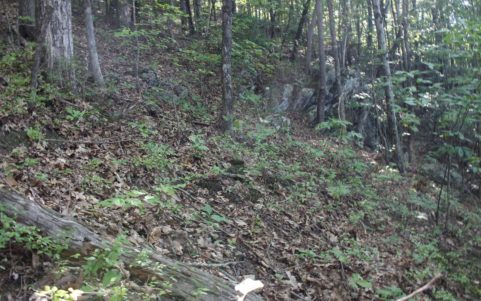 Additional View