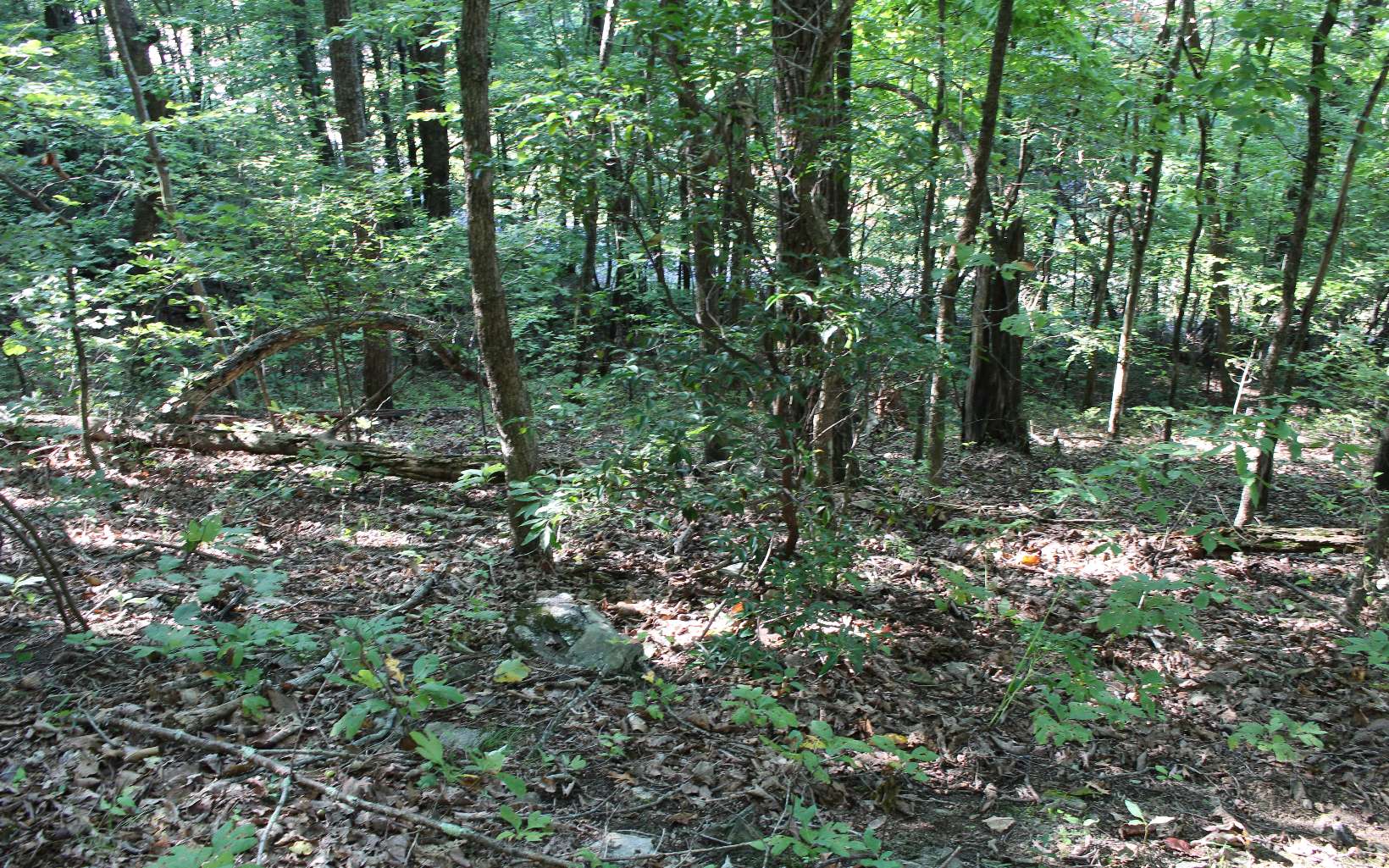 Tbd` Alt Old Fain Road Murphy, NC 28906 - Photo 8 of 16 Additional View