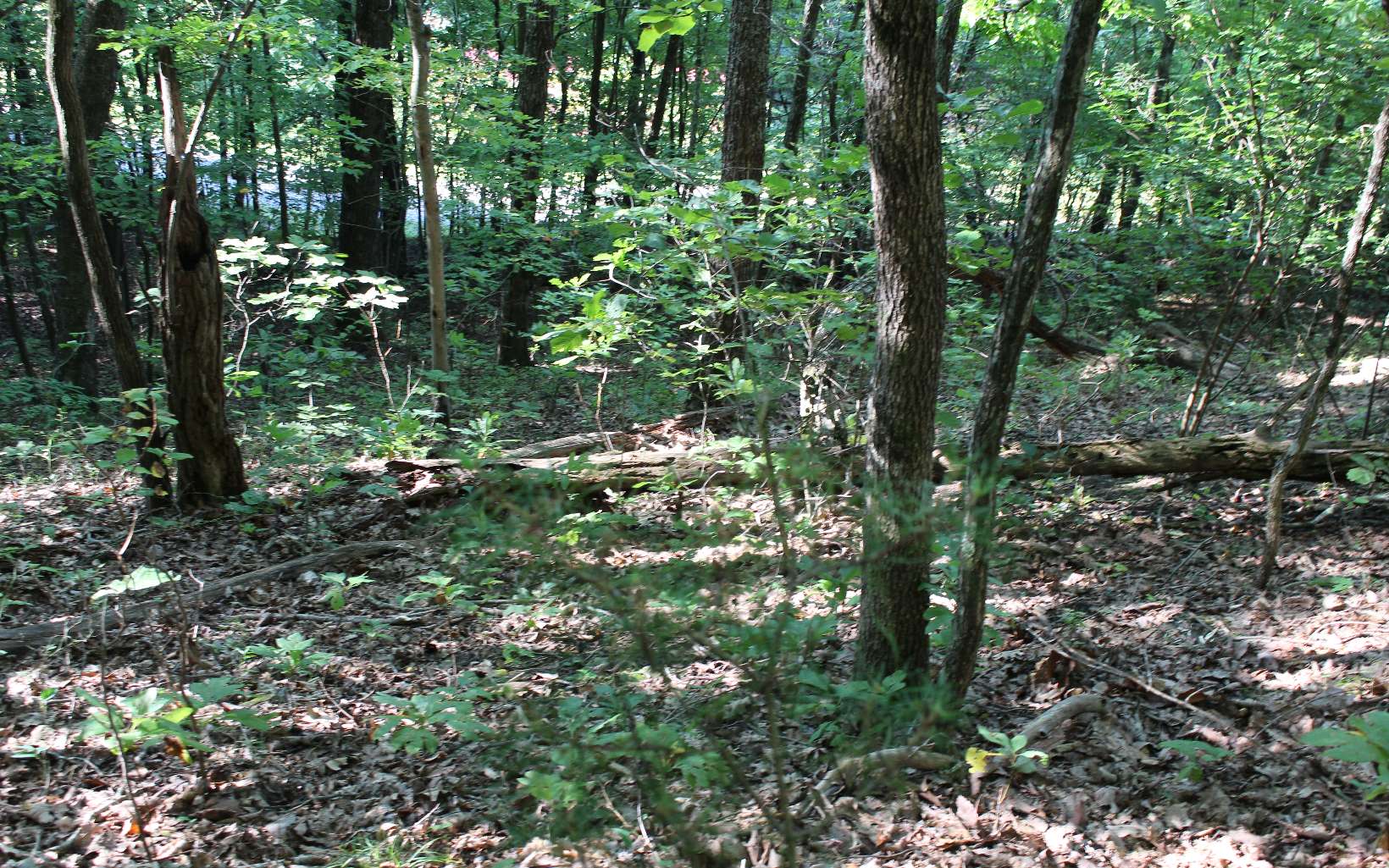 Tbd` Alt Old Fain Road Murphy, NC 28906 - Photo 10 of 16 Additional View