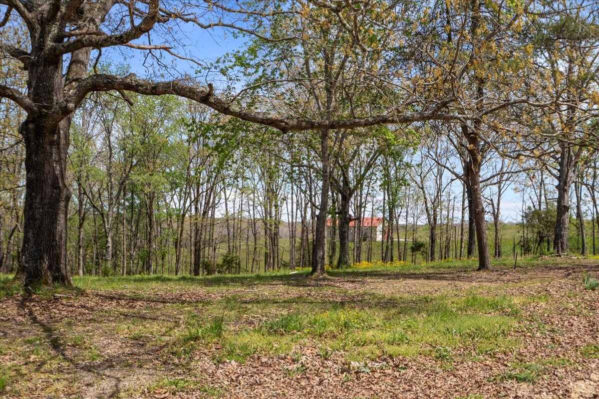 a backyard of a house with trees and outdoor