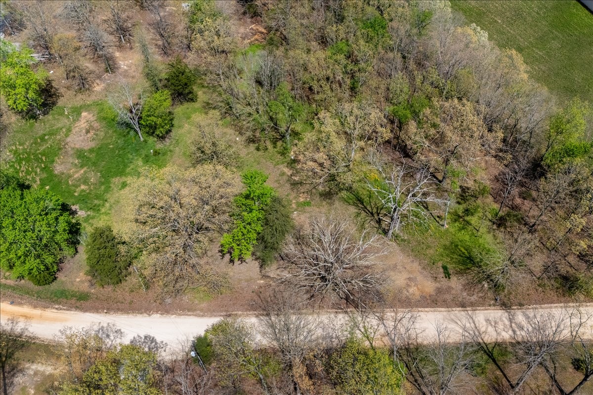 1837 Humphreys Co Line Road Dickson, TN 37055 - Photo 3 of 14 a view of a yard with plants and a bench