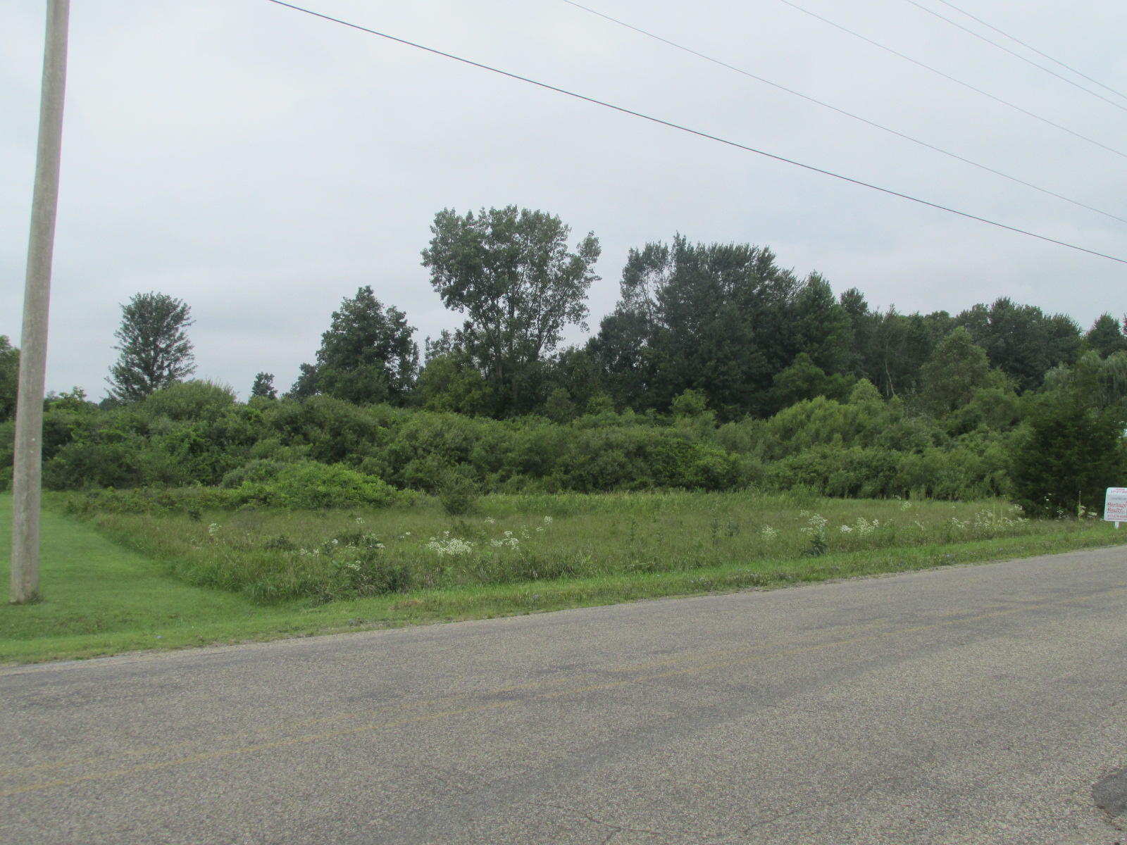 1 Ridge Road Quincy, MI 49082 - Photo 2 of 2 IMG_3503
