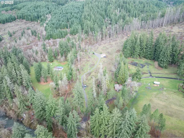 a view of a forest with a house