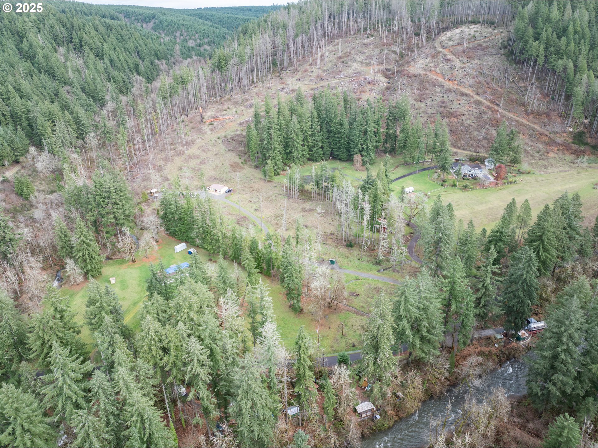 13087 South Butte Creek Road Scotts Mills, OR 97375 - Photo 11 of 32 a view of a forest with a tree