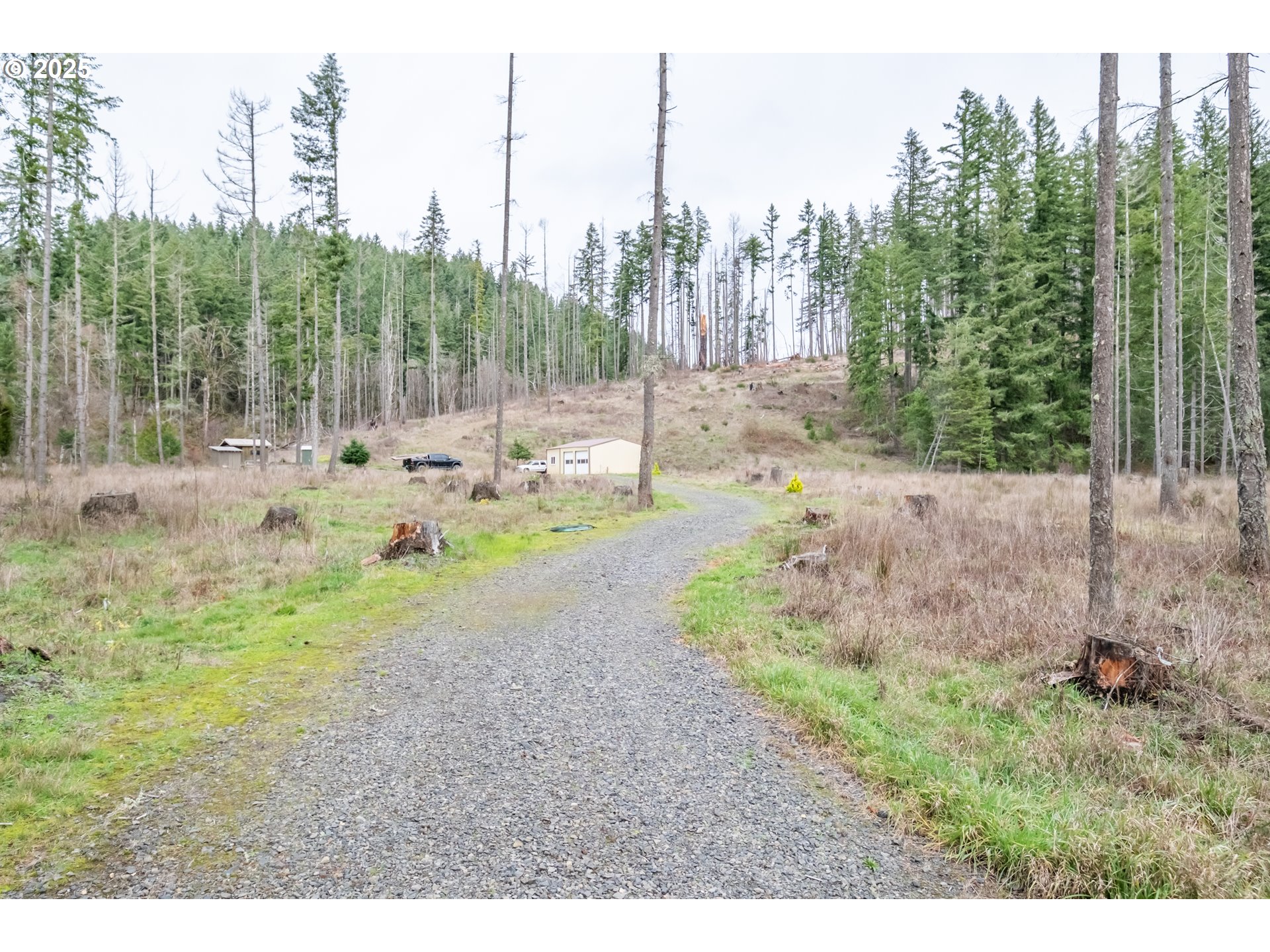 13087 South Butte Creek Road Scotts Mills, OR 97375 - Photo 14 of 32 a backyard of a house with lots of green space