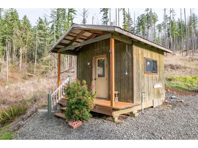 a backyard of a house with potted plants and large tree