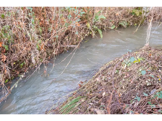 a house view with a backyard space