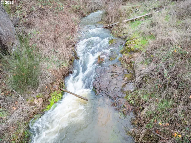 a view of a lush green forest with lots of trees