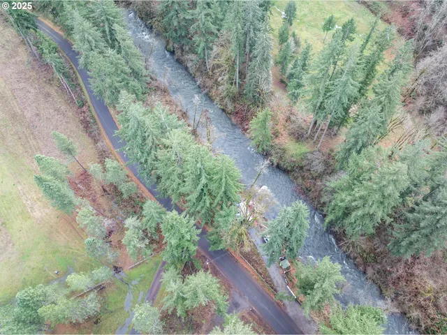 a view of a yard with plants