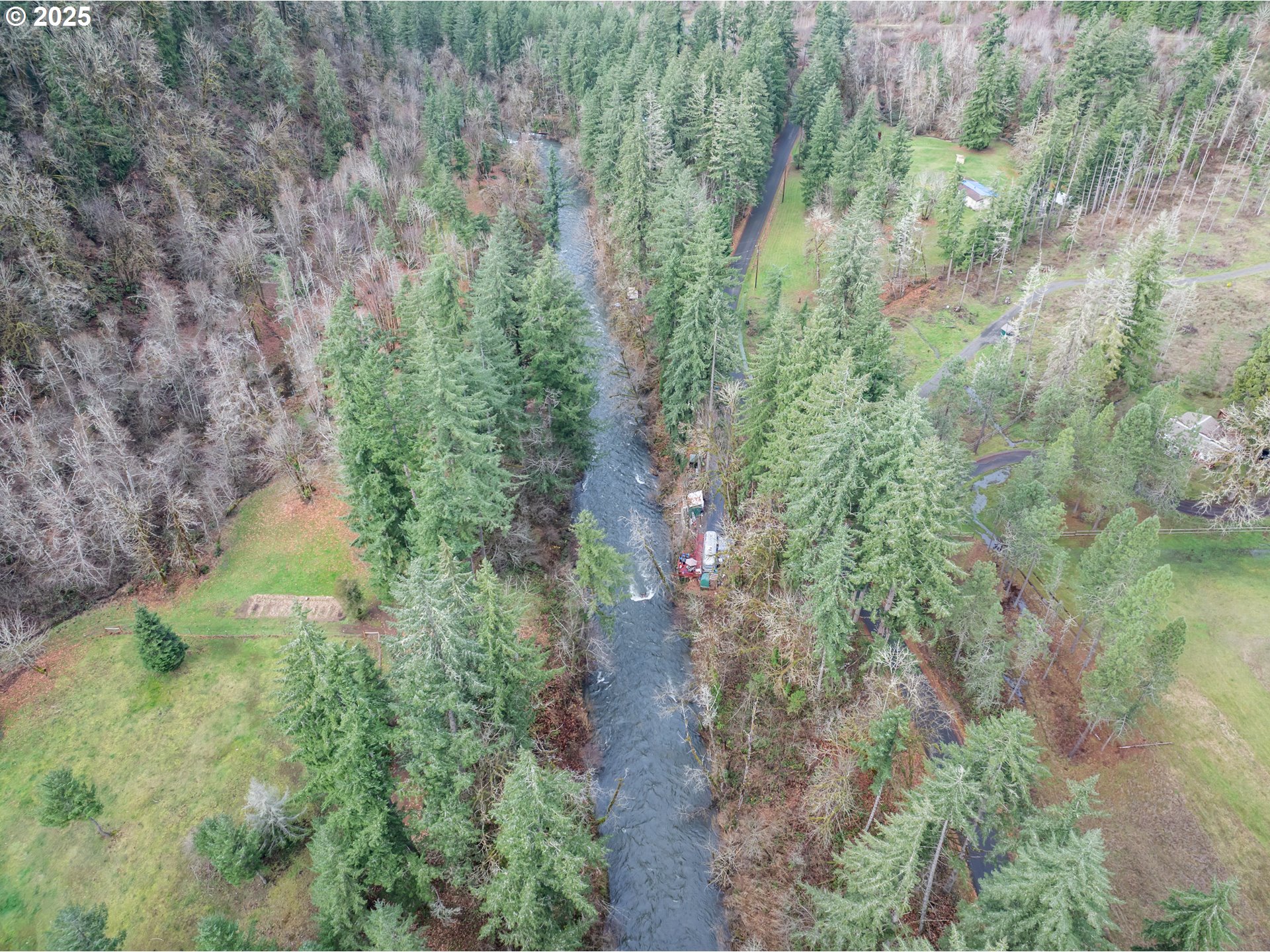 13087 South Butte Creek Road Scotts Mills, OR 97375 - Photo 7 of 32 a view of a garden with a tree