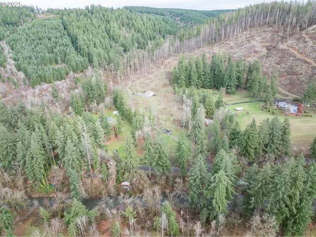 a view of a lush green forest with lots of trees