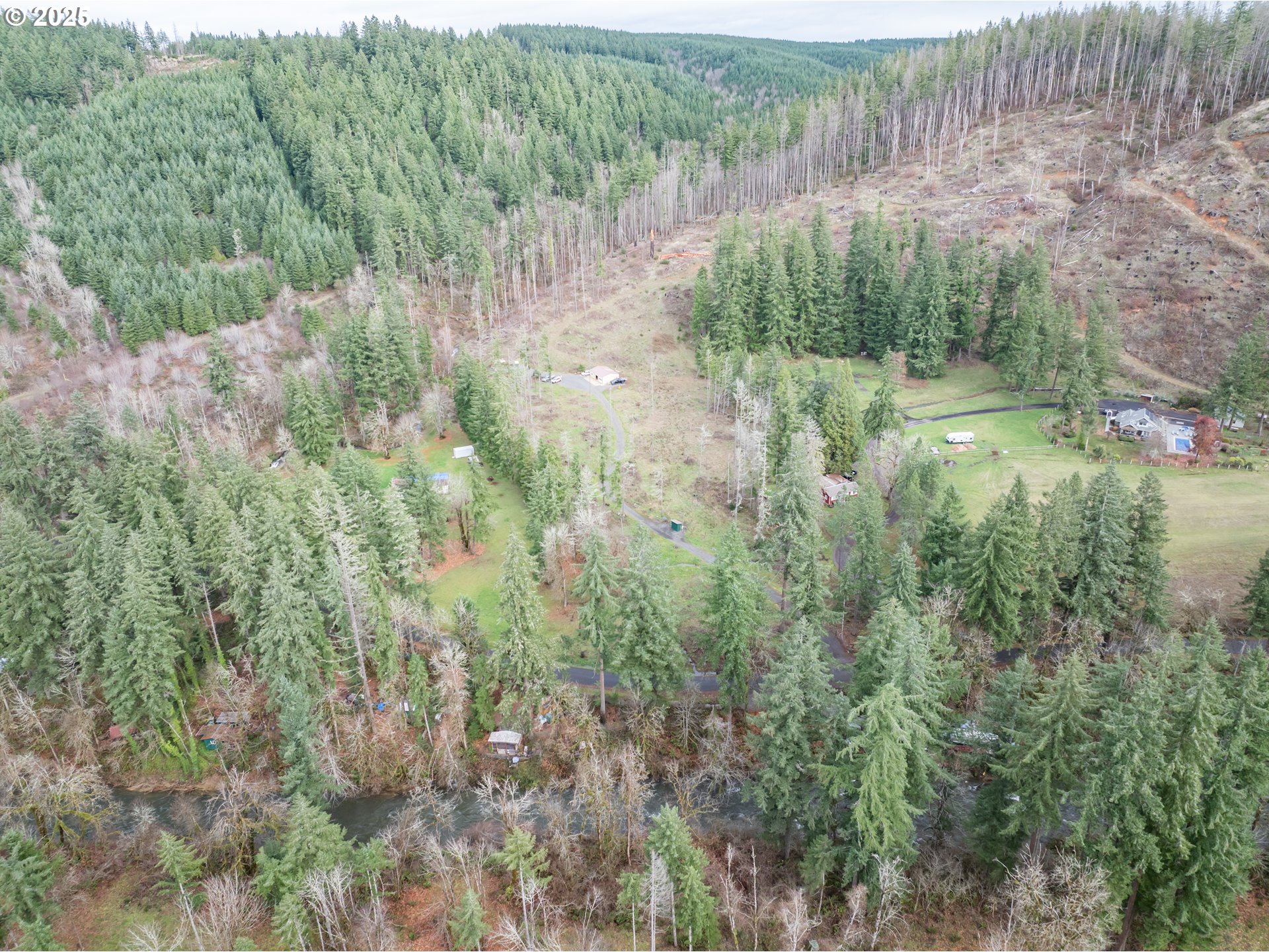 13087 South Butte Creek Road Scotts Mills, OR 97375 - Photo 10 of 32 a view of a lush green forest with lots of trees