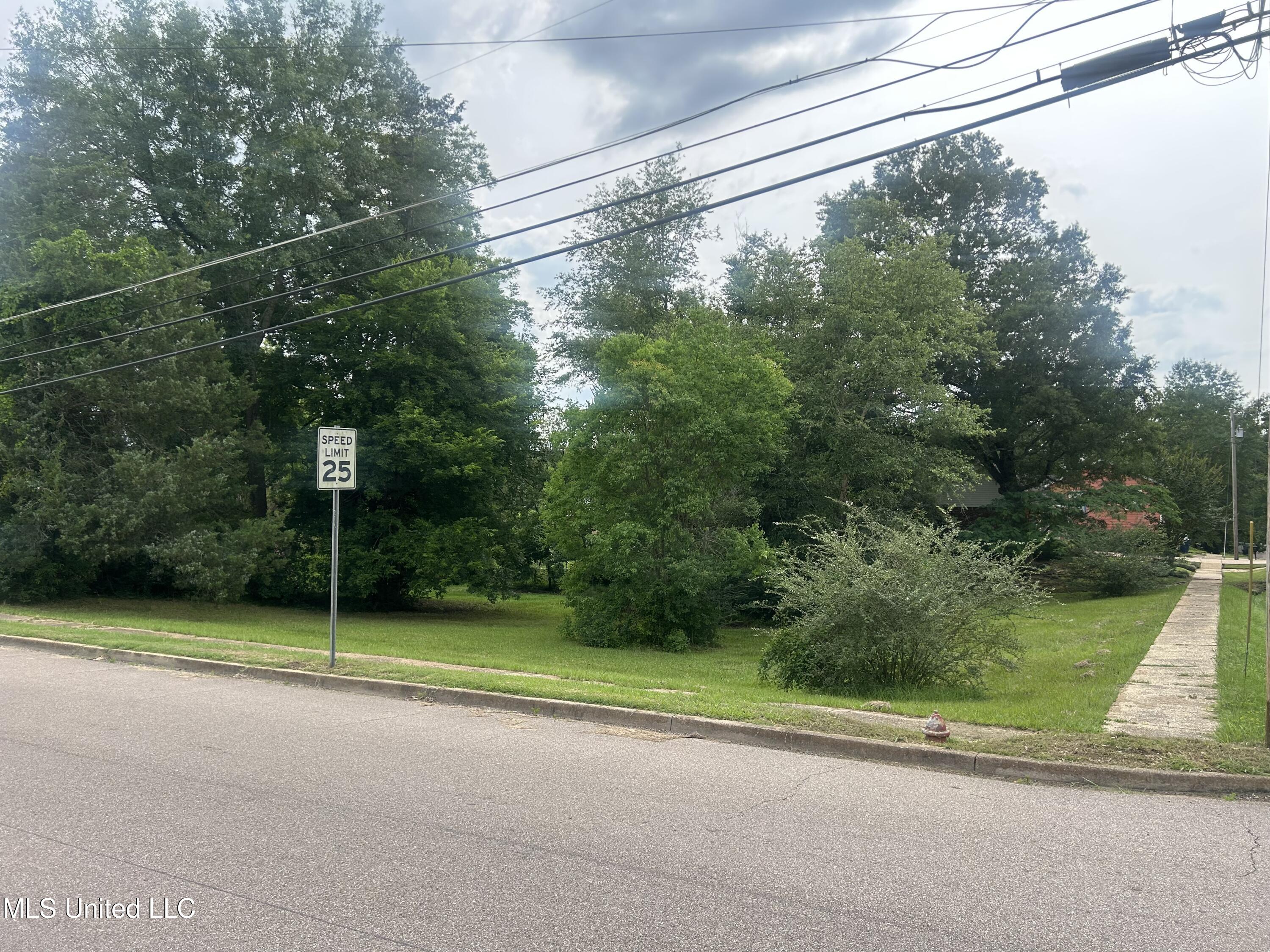 North East Street Mendenhall, MS 39114 - Photo 1 of 3 Vacant Lot (East St)