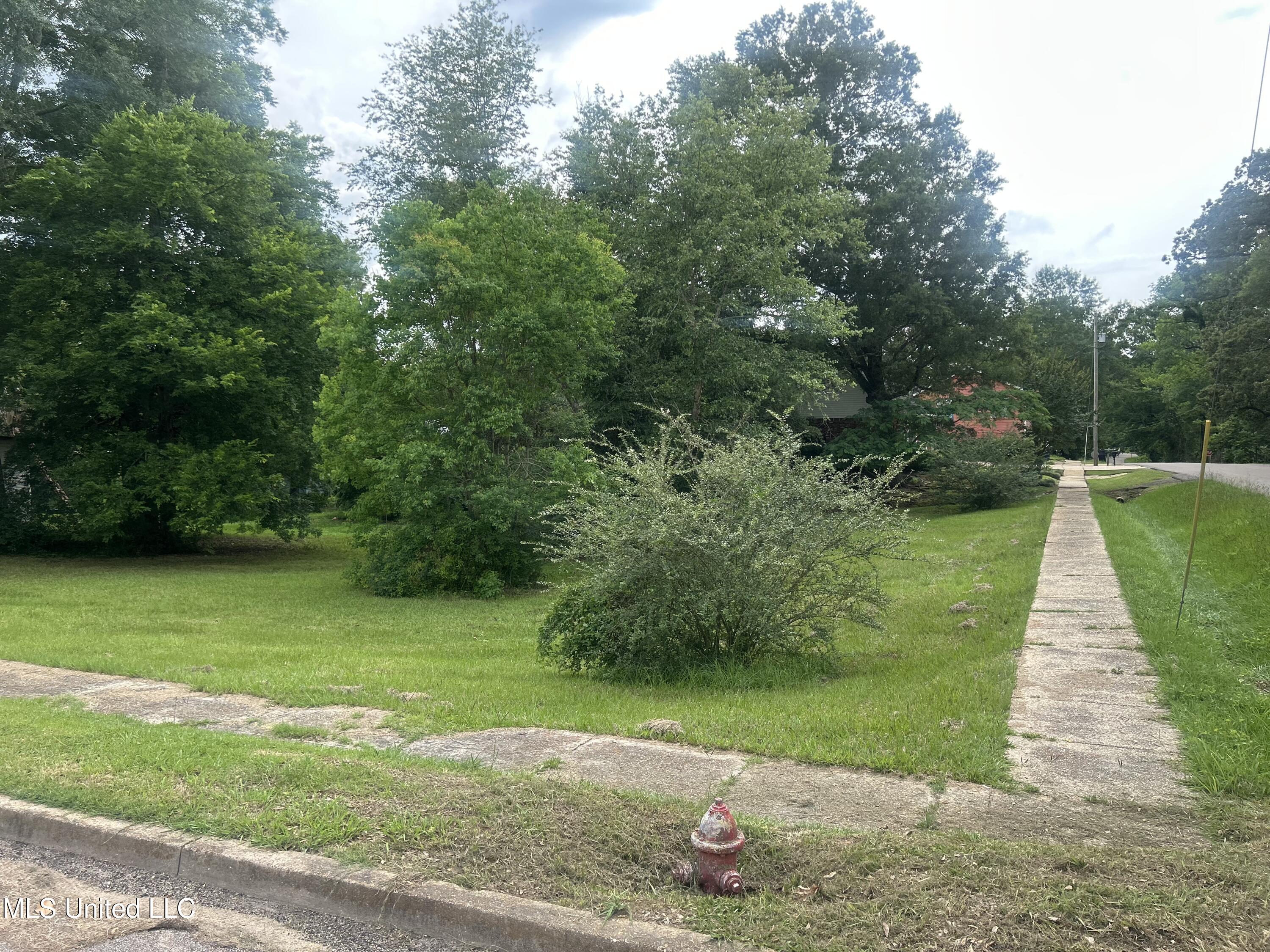 North East Street Mendenhall, MS 39114 - Photo 2 of 3 Vacant Lot (East St)