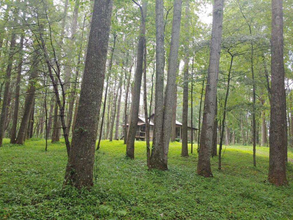 1123 Silverleaf Road Southeast Floyd, VA 24091 - Photo 13 of 13 a view of trees with a park