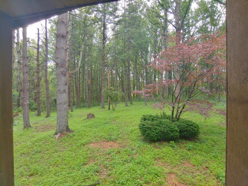 1123 Silverleaf Road Southeast Floyd, VA 24091 - Photo 8 of 13 a view of a garden with a tree
