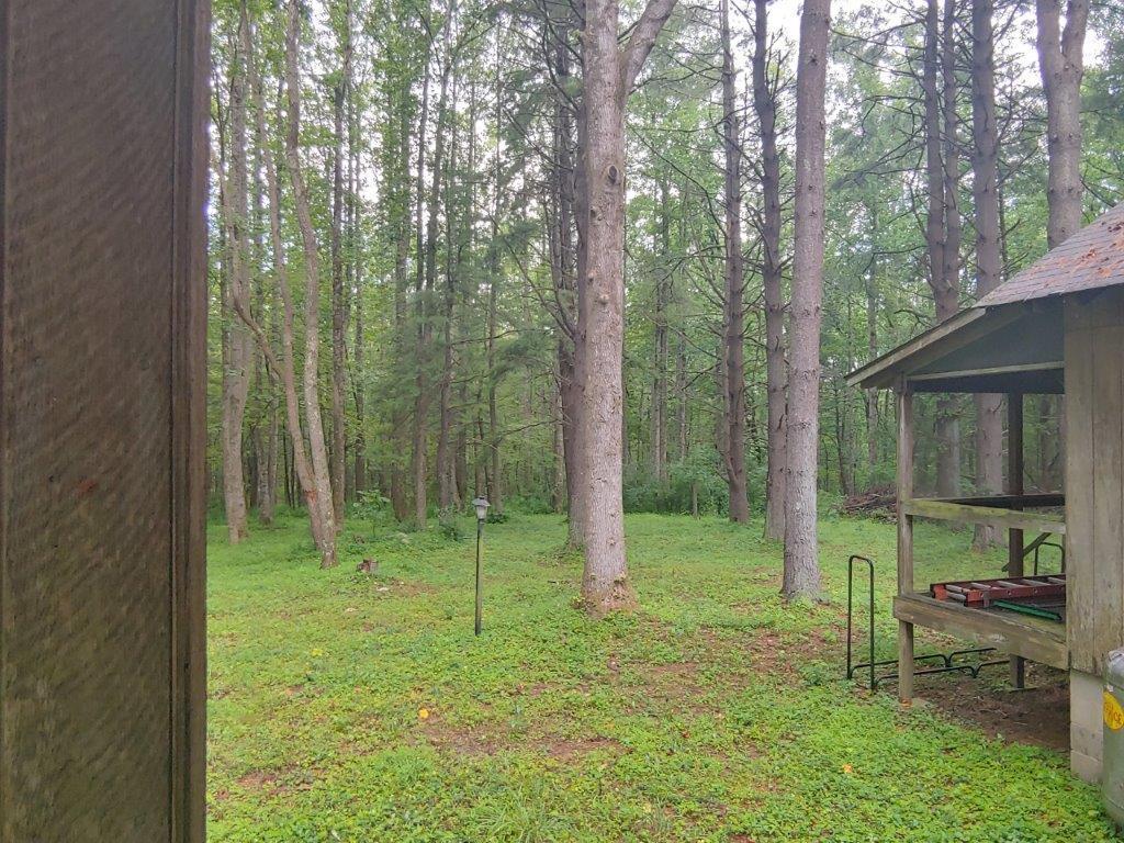 1123 Silverleaf Road Southeast Floyd, VA 24091 - Photo 9 of 13 a backyard of a house with outdoor seating and trees