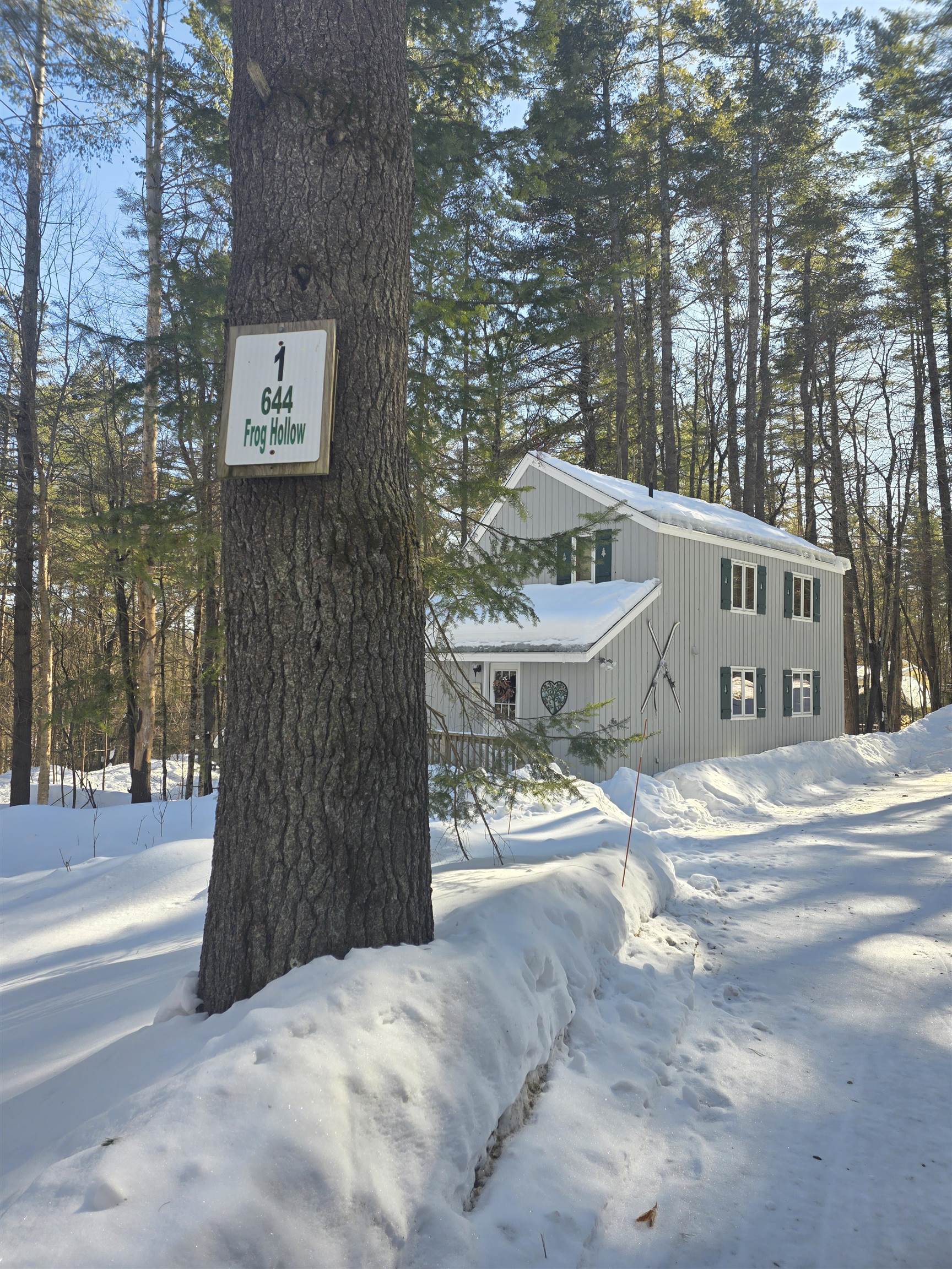 1 Frog Hollow Wilmington, VT 05363 - Photo 53 of 55