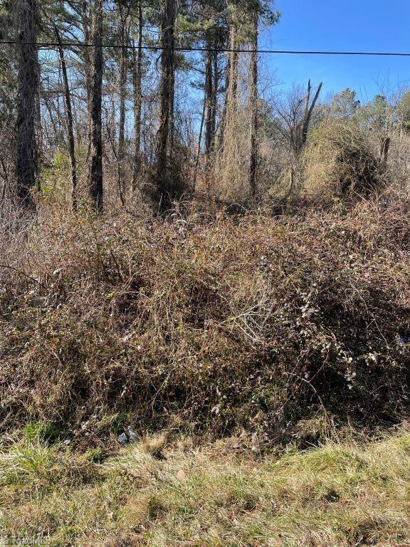 0 Uwharrie Road Archdale, NC 27263 - Photo 1 of 2