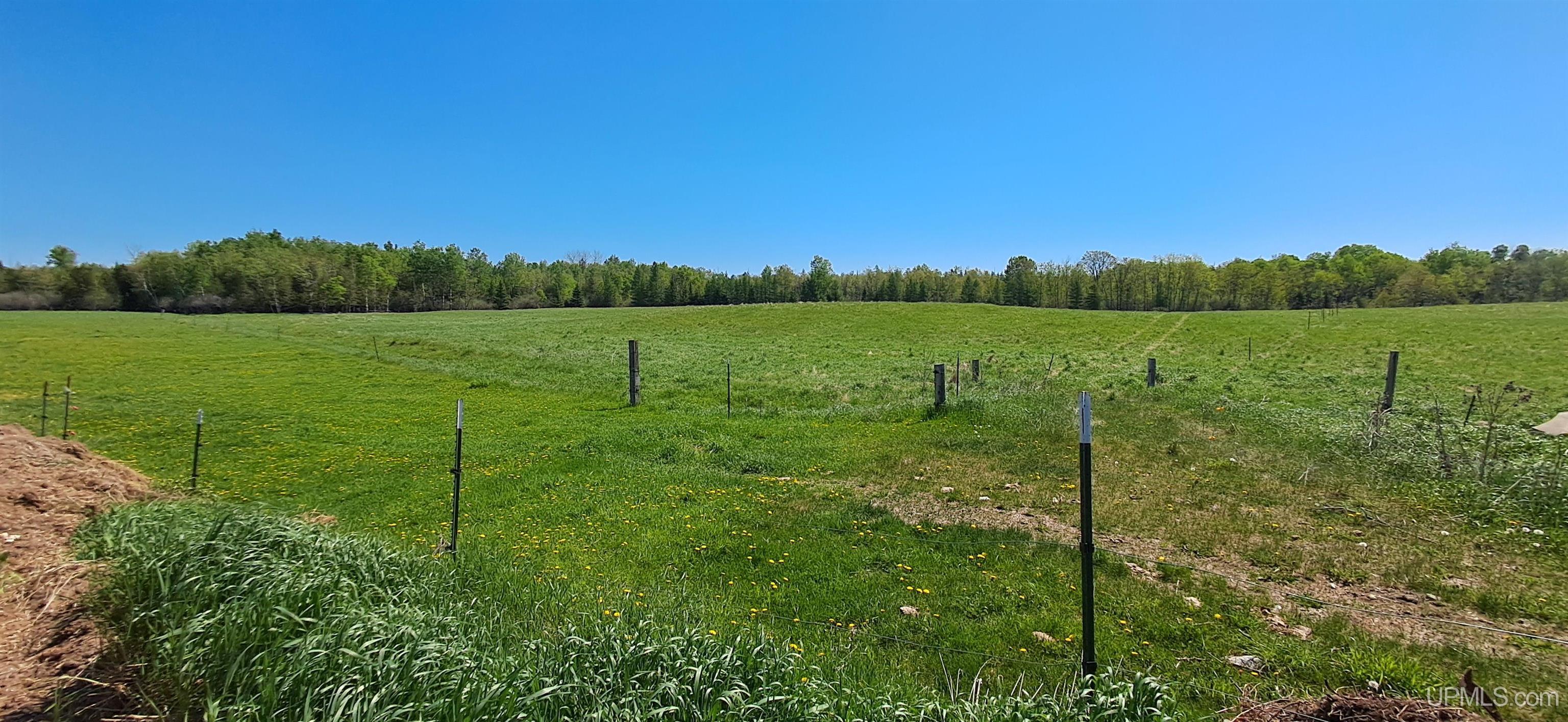 6230 East 5th Road Bark River, MI 49807 - Photo 44 of 48