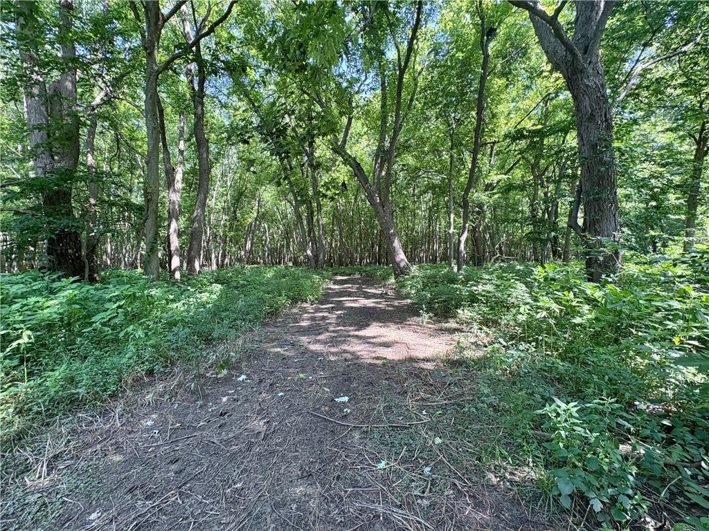 North York Road West York, IL 62478 - Photo 20 of 21 Gallery Image 20