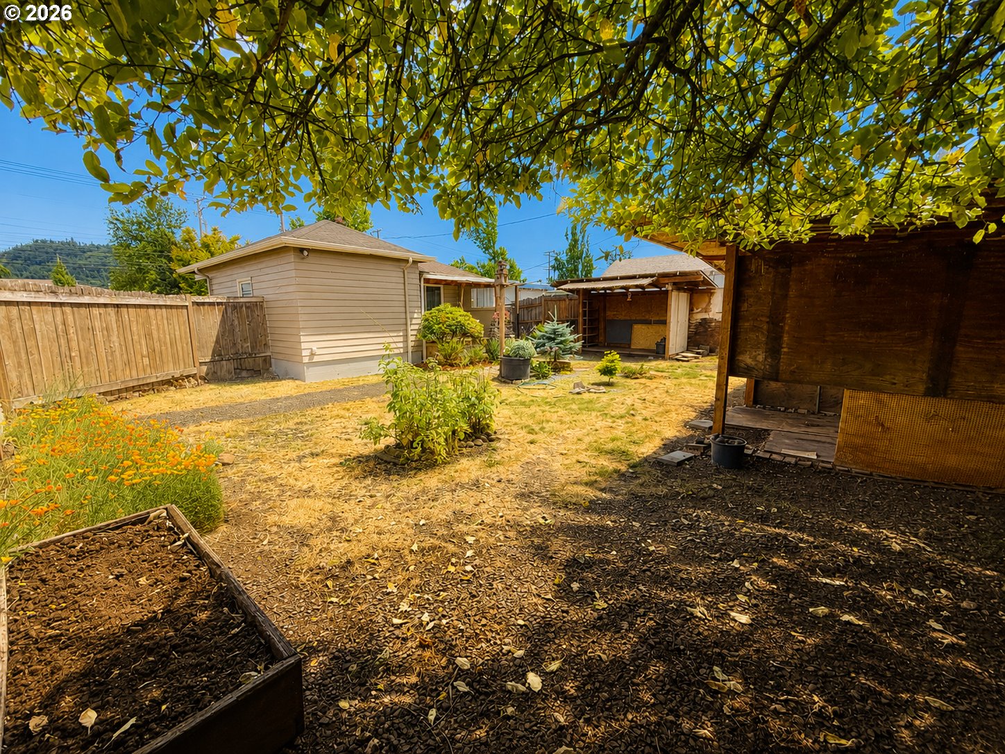 1664 Main Street Springfield, OR 97477 - Photo 14 of 17 Backyard