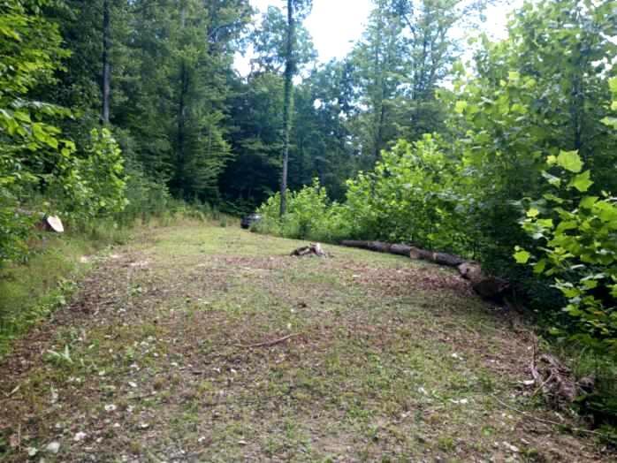 20036 Culp Road Logan, OH 43138 - Photo 14 of 39 IMG_20230722_162738