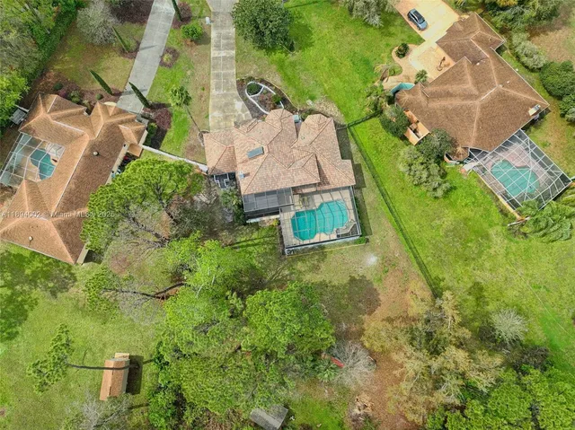 a view of a lush green forest