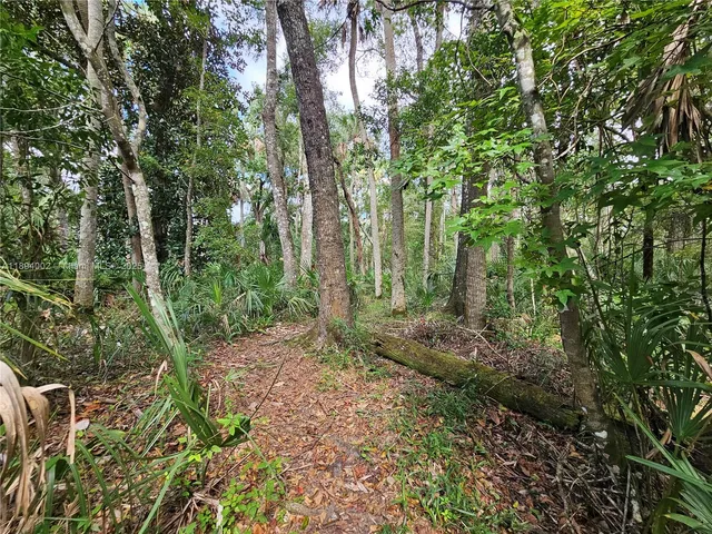 a view of a garden with a lake