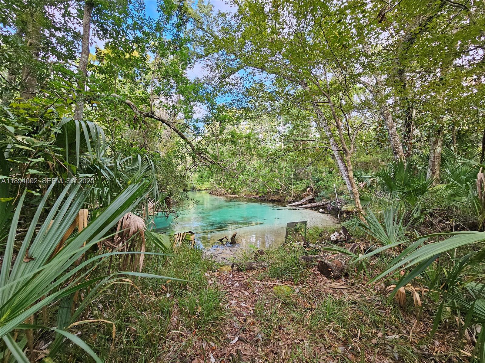 7505 Jomel Drive Spring Hill, FL 34607 - Photo 42 of 44 a view of a garden with a lake