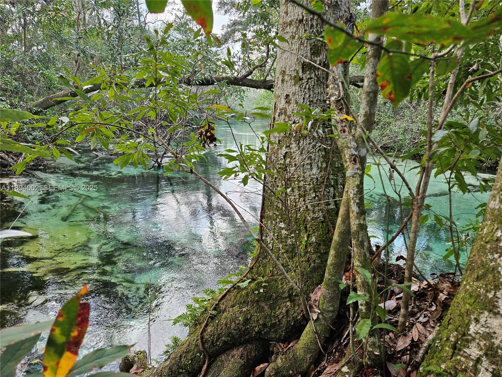 7505 Jomel Drive Spring Hill, FL 34607 - Photo 43 of 44 a backyard of a building