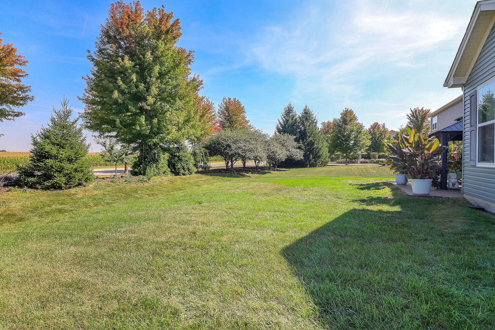 1002 Hudson Drive Joliet, IL 60431 - Photo 33 of 40 a view of yard with swimming pool and trees