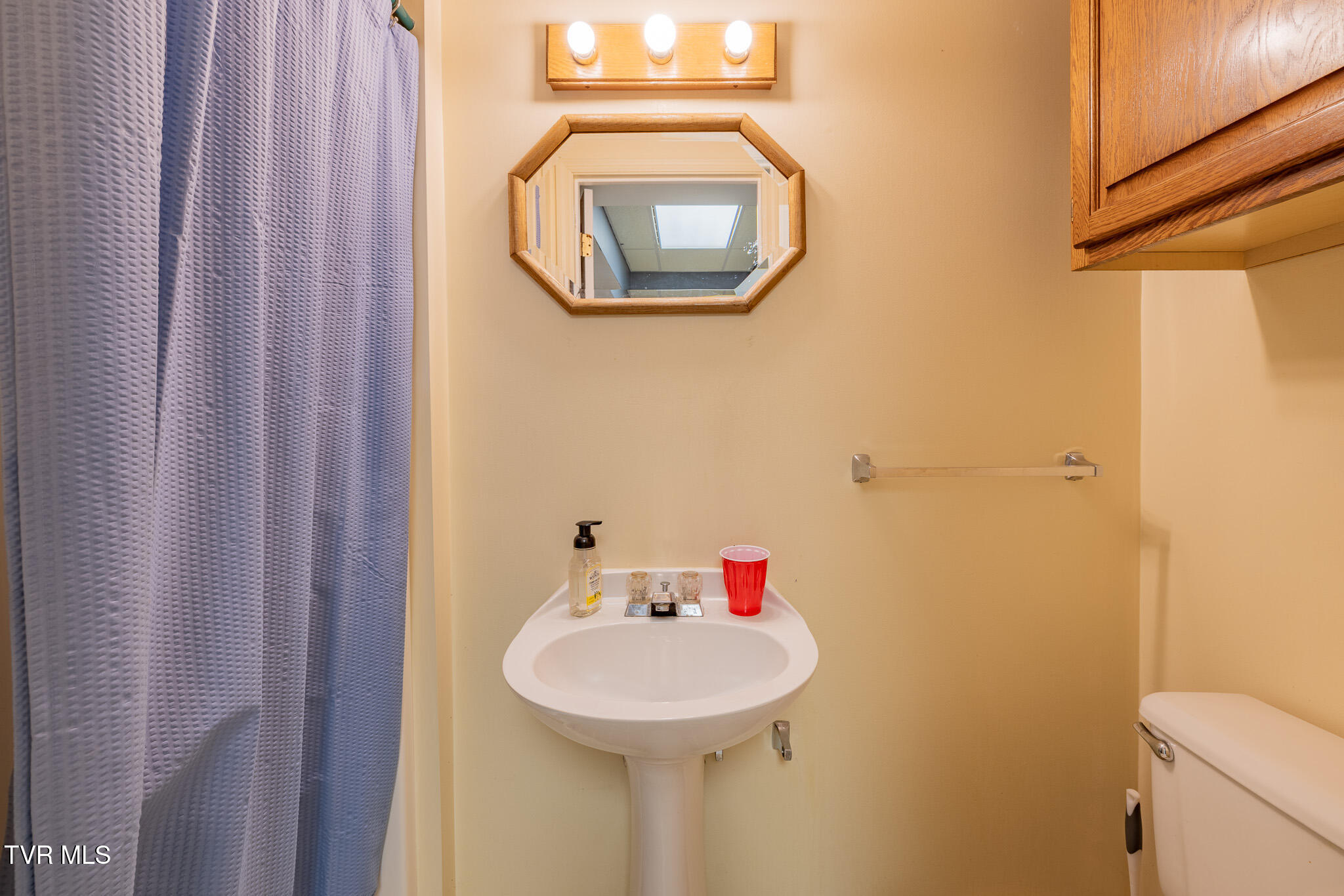 1331 Bloomingdale Road Kingsport, TN 37660 - Photo 45 of 65 1R9A3222-HDR