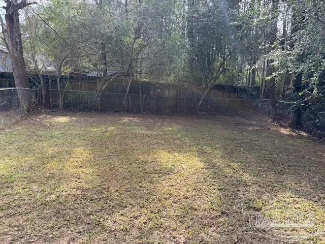 a view of a park with large trees