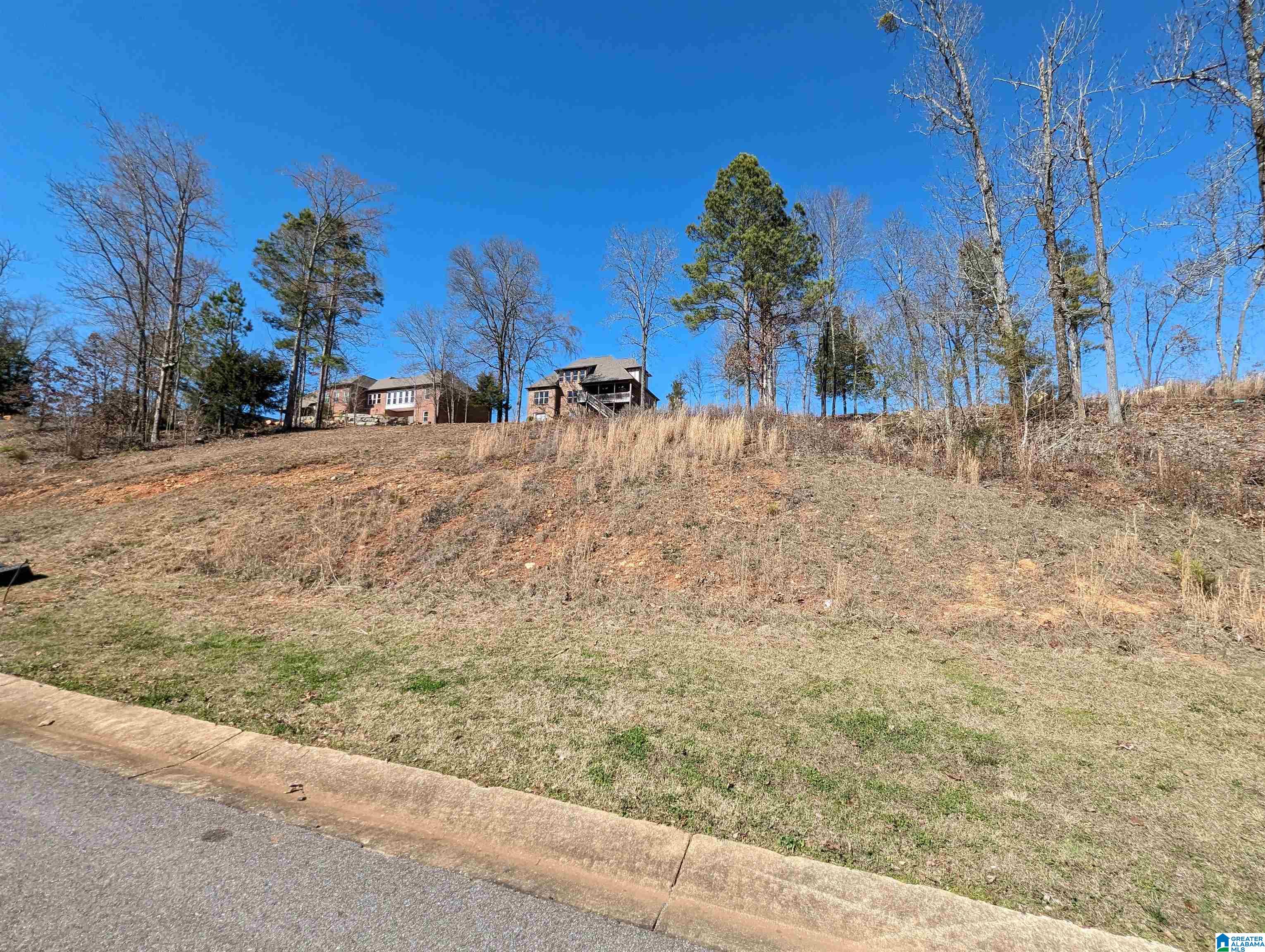 0 Overlook Ridge Lincoln, AL 35096 - Photo 21 of 33