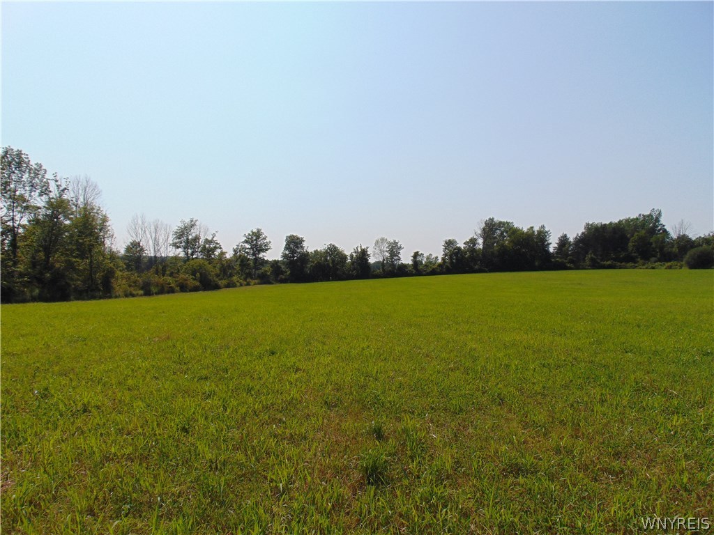 0 Big Tree Road East Aurora, NY 14052 - Photo 1 of 1 Gallery Image 1