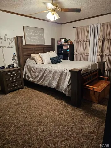 $90,000 | 30678 Highway 25, Clarkton, MO 63837