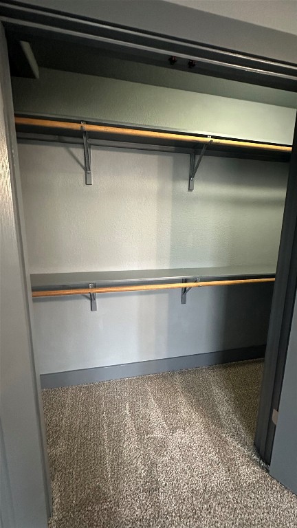 38 Deer Ridge Road Wimberley, TX 78676 - Photo 16 of 26 a close view of closet