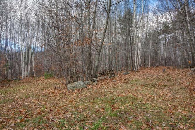 135 Parsonsfield Road Limerick, ME 04048 - Photo 3 of 27 Photo