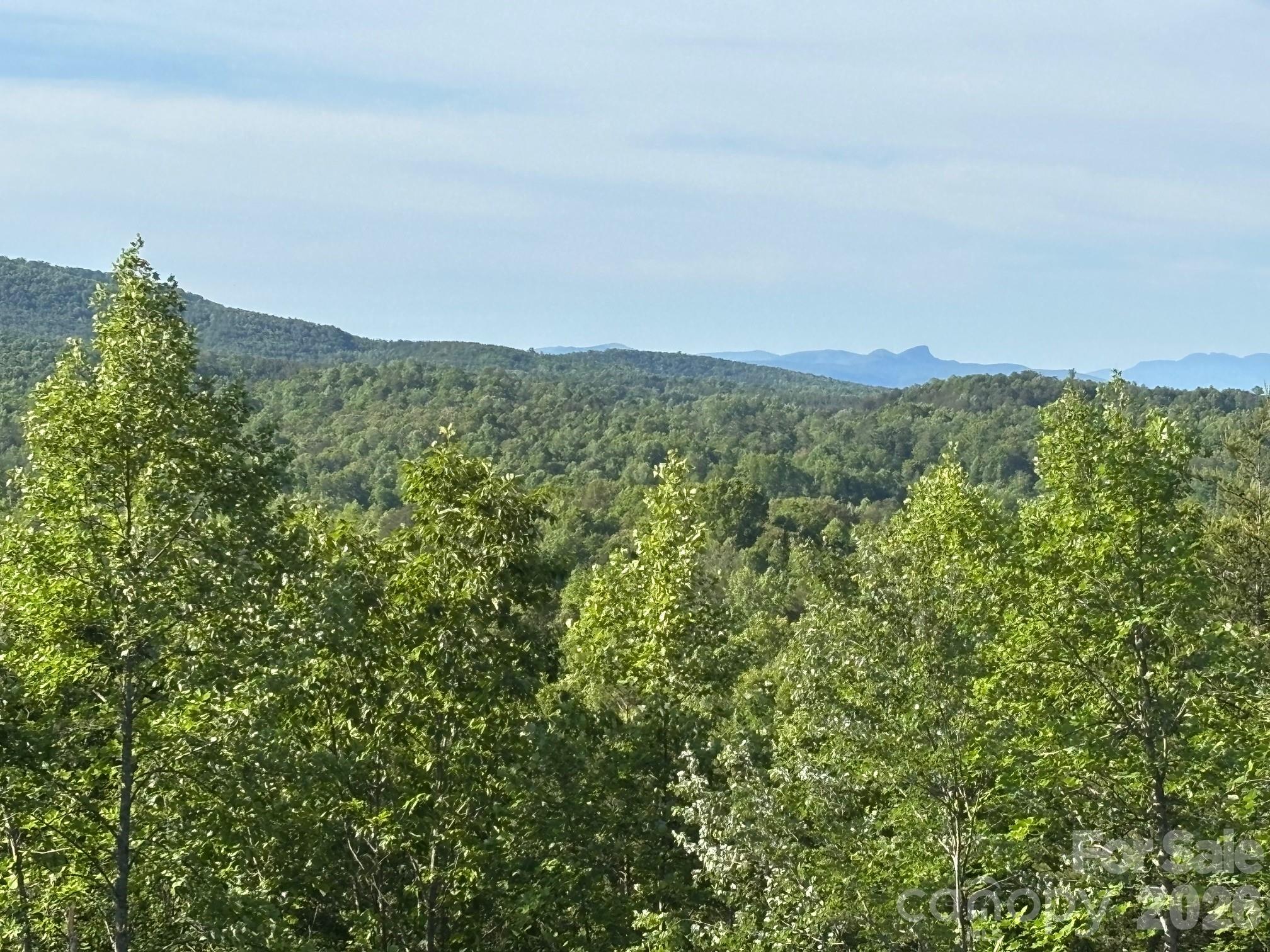 Tbd Vein Mountain Road, Unit 6 Nebo, NC 28761 - Photo 3 of 15