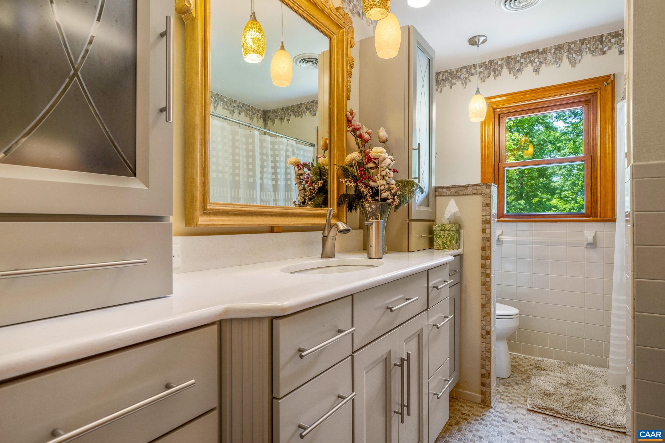 7250 Amicus Road Ruckersville, VA 22968 - Photo 41 of 74 a bathroom with a granite countertop sink a toilet and a mirror