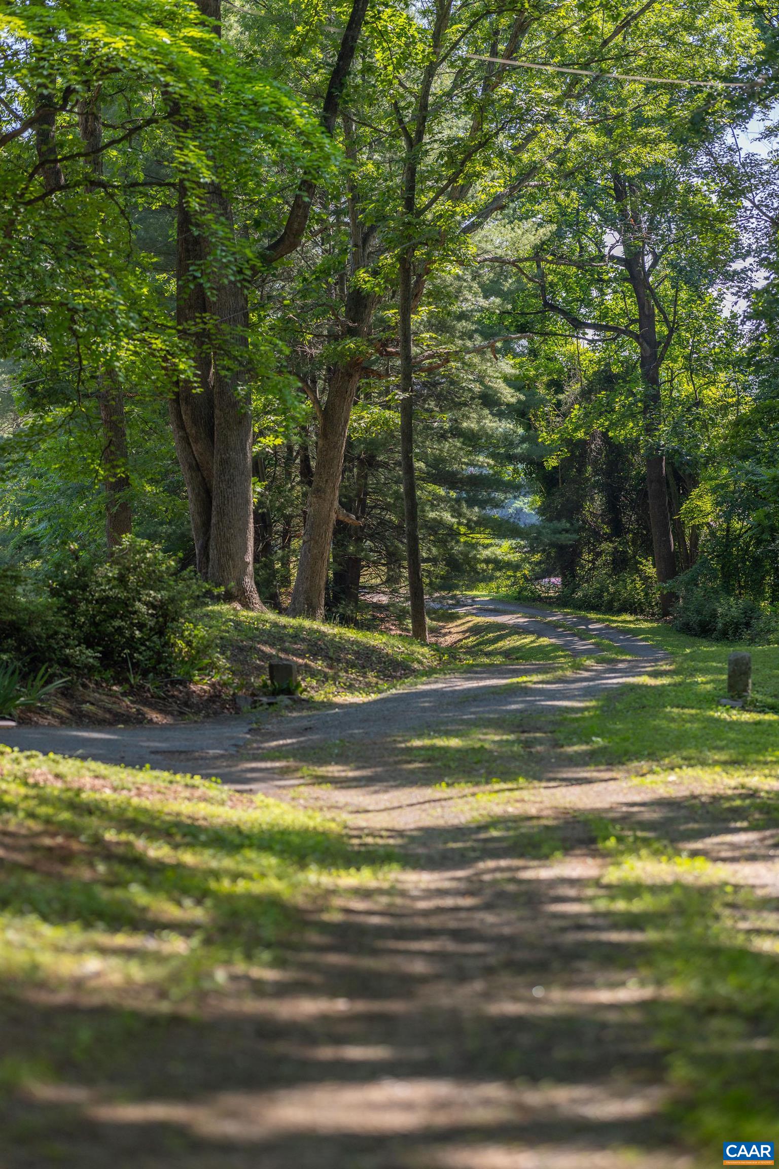 7250 Amicus Road Ruckersville, VA 22968 - Photo 62 of 74 a view of a house with a large trees