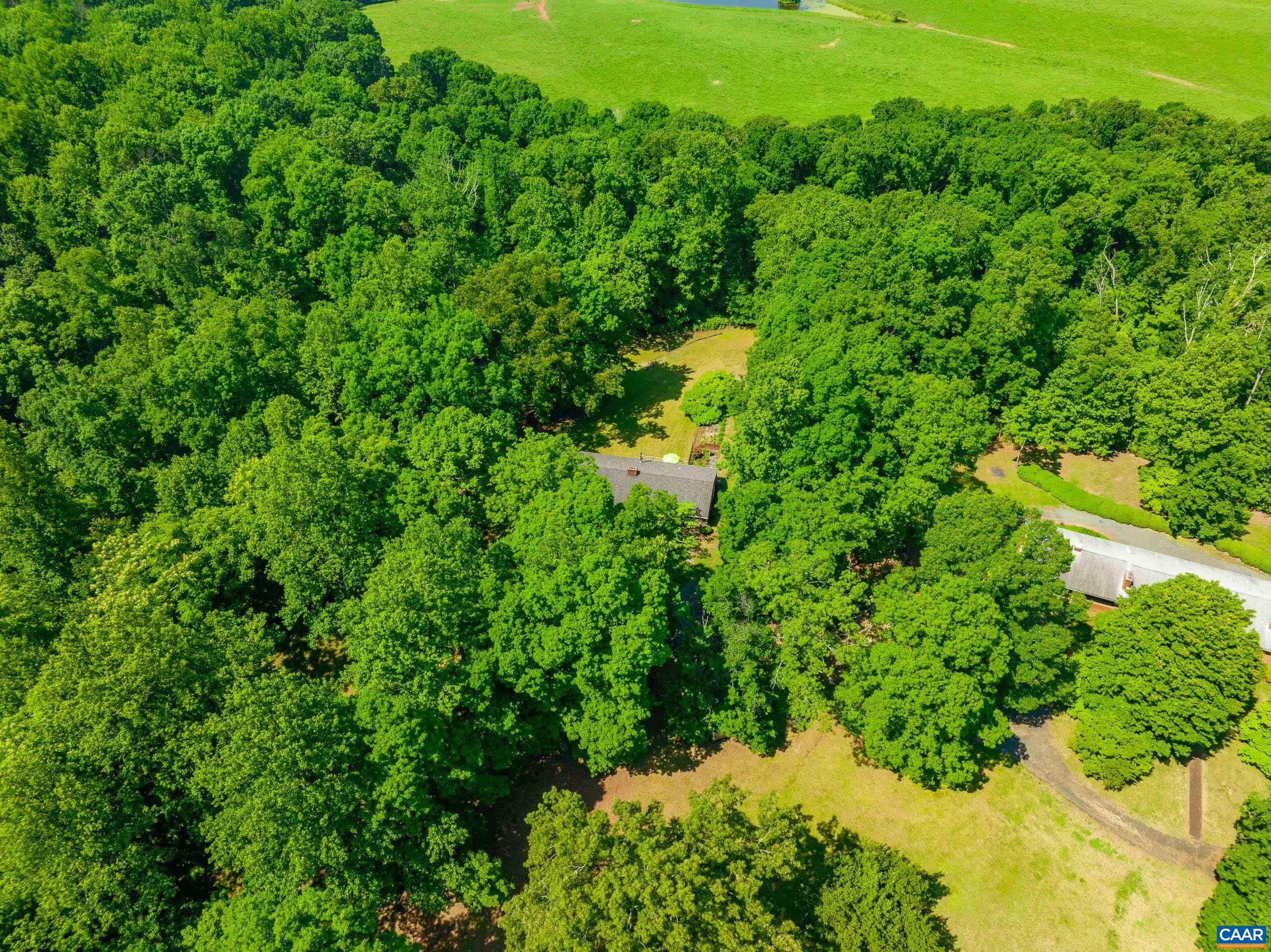 7250 Amicus Road Ruckersville, VA 22968 - Photo 69 of 74 a view of a lush green forest with lawn chairs