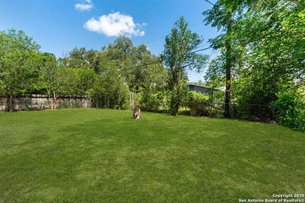 a view of a park with a tree in the grass